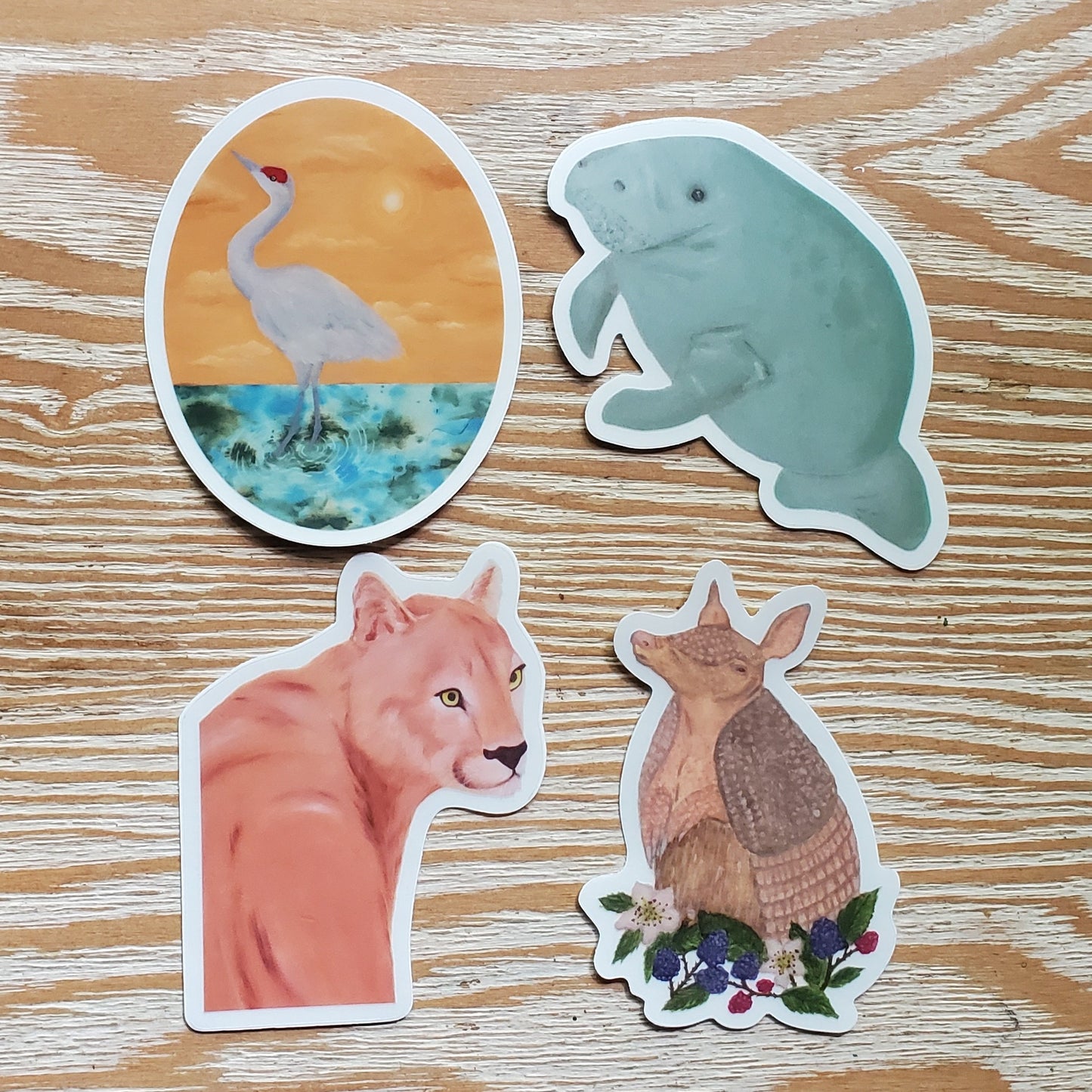 Flo-Grown Florida Animals Sticker Pack | Set of 4 Original Art Vinyl Stickers